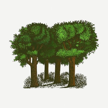 Trees vintage clipart, forest illustration | Free PSD - rawpixel