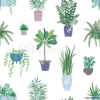 Trendy houseplants seamless pattern