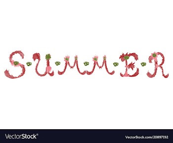 Trendy summer tropical design vector image
