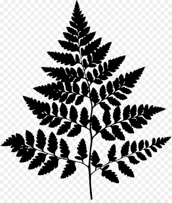 Trentham Estate Trentham, Staffordshire Pine Silhouette Leaf -  