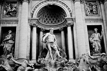          Trevi Fountain Free Photo     