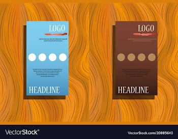 Triangle business annual report brochure flyer vector image