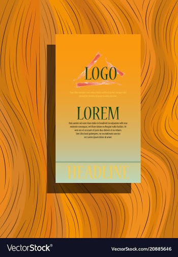Triangle business annual report brochure flyer vector image