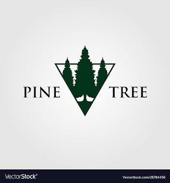 Triangle pine tree or fir logo evergreen vector image