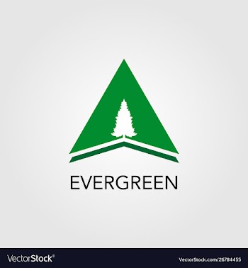 Triangle with pine tree logo vector image
