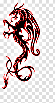 Tribal Dragon Tattoos- High Quality Photos and Flash Designs of ...