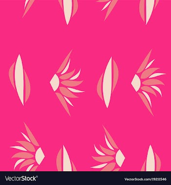Tribal hand drawn background ethnic pattern boho vector image
