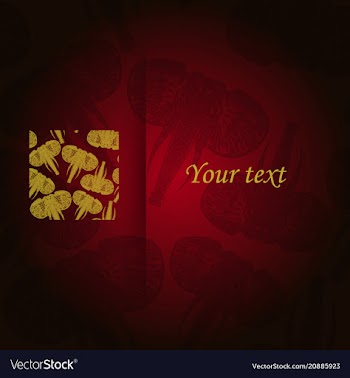 Tribal pattern with elephant ethnic indian vector image