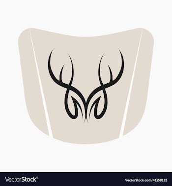 tribal stripe for car image
