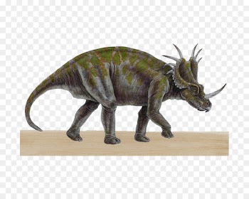Triceratops Carnotaurus Styracosaurus Reptile Tyrannosaurus rex - Horned dinosaur 