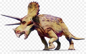 Triceratops Dinosaur GIF Tyrannosaurus Geography Clipart -  