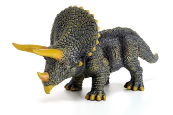 Triceratops horridus