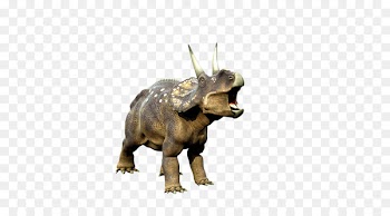 Triceratops Tyrannosaurus Dinosaur Wallpaper - dinosaur 