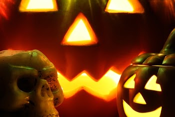 Trick Or Treat.JPG