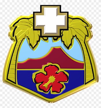 Tripler Army Medical Center Logo - Tripler Army Medical Center Pediatric Department