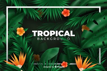 Tropical background Free Vector