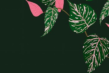 Tropical background psd calathea botanical… | Free stock illustration | High Resolution graphic
