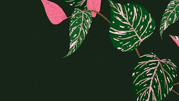 Tropical background vector calathea botanical… | Free stock illustration | High Resolution graphic