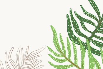 Tropical background vector fern leaf… | Free stock illustration | High Resolution graphic