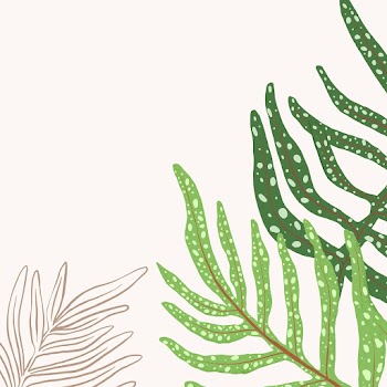 Tropical background vector fern leaf… | Free stock illustration | High Resolution graphic