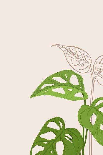 Tropical background vector monstera swiss… | Free stock illustration | High Resolution graphic