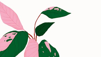 Tropical background vector philodendron… | Free stock illustration | High Resolution graphic