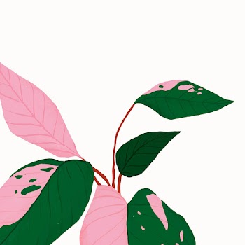 Tropical background vector philodendron… | Free stock illustration | High Resolution graphic