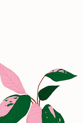 Tropical background vector philodendron… | Free stock illustration | High Resolution graphic