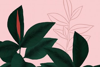 Tropical background vector rubber plant… | Free stock illustration | High Resolution graphic