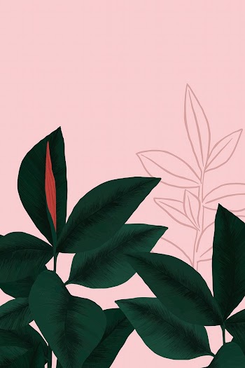 Tropical background vector rubber plant… | Free stock illustration | High Resolution graphic
