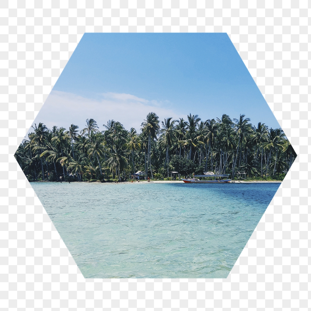 Tropical beach png badge sticker, | Free PNG - rawpixel