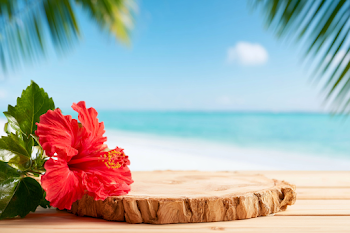 Tropical Beach Still Life with Hibiscus Flower