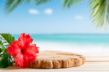 Tropical Beach Still Life with Hibiscus Flower