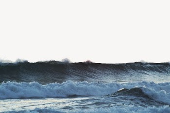 Tropical beach wave border, nature | Free PSD - rawpixel
