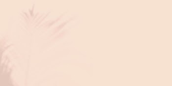 Tropical beige background, palm leaf | Free Photo - rawpixel