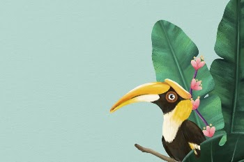 Tropical bird background, green design, | Free Photo Illustration - rawpixel