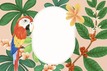 Tropical bird frame background, animal | Free Photo Illustration - rawpixel