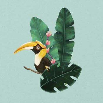 Tropical bird, green design, animal | Free Photo Illustration - rawpixel