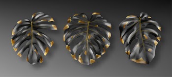 Tropical black and gold monstera leaves Free Vector