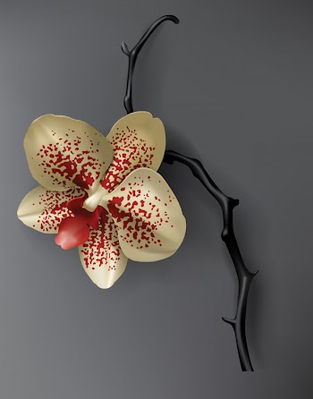 Tropical black, red and gold orchid flower on dark Free Vector