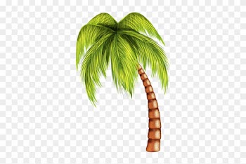 Tropical Clipart Summer Tree - Coconut Tree Tree Png