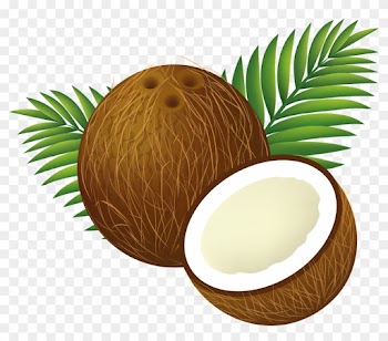 Tropical Coconut Drink Clipart - Tropical Coconut Drink Clipart