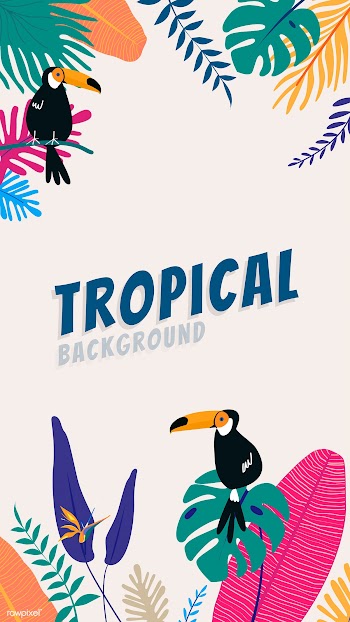 Tropical design space | Free stock vector - 679894