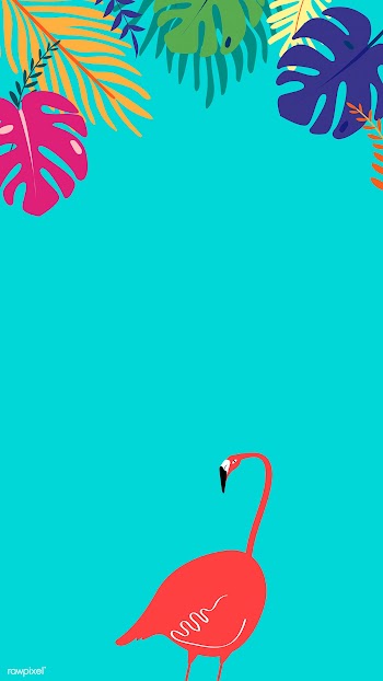 Tropical design space | Free stock vector - 679902