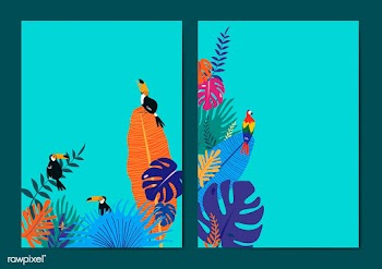 Tropical design space set | Free stock vector - 679883