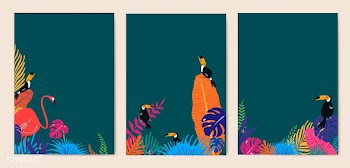 Tropical design space set | Free stock vector - 679898