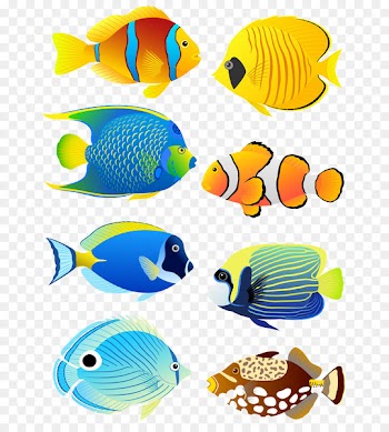 Tropical fish Angelfish Aquarium Clip art - Six cartoon fish 