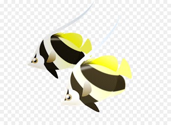 Tropical fish Aquarium 海水魚 - japan kimono 