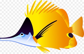 Tropical fish Carassius auratus Clip art - Picture Fish Download 