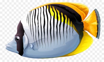 Tropical fish Clip art - fish 